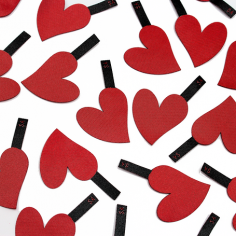 *** MODELE D'EXPO ***...