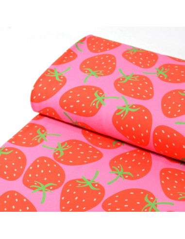 Tissu Jersey - Frai-fraises - Pinky