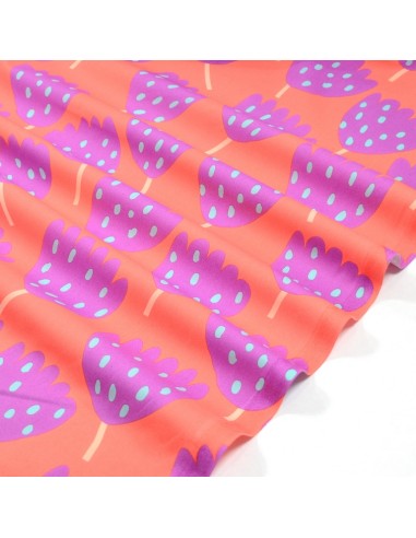 DERNIER COUPON 2M - Tissu Popeline de...