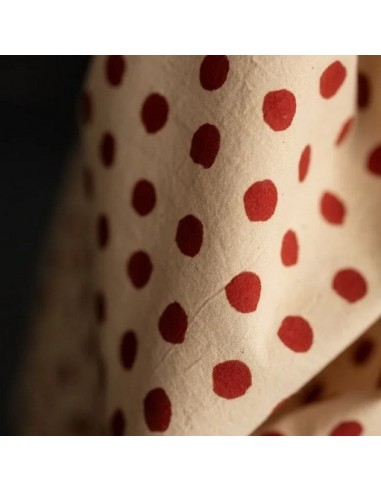 Tissu Coton Indien - Peekaboo -...