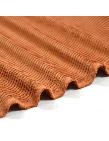 DERNIER COUPON 55CM - Tissu Velours...